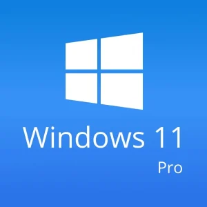 Windows 11 Professional - Windows 11 Pro