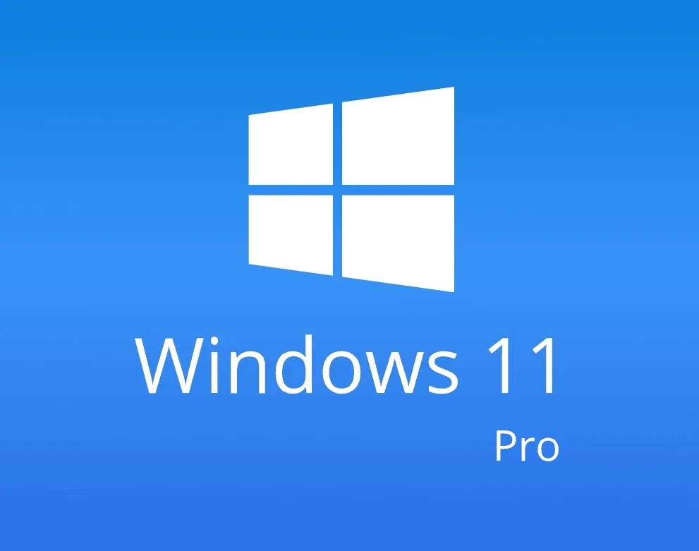 Windows 11 Professional - Windows 11 Pro