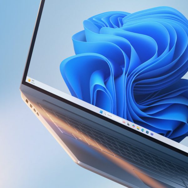 Windows 11 Professional - product overview