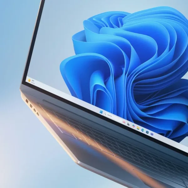 Windows 11 Professional - product overview